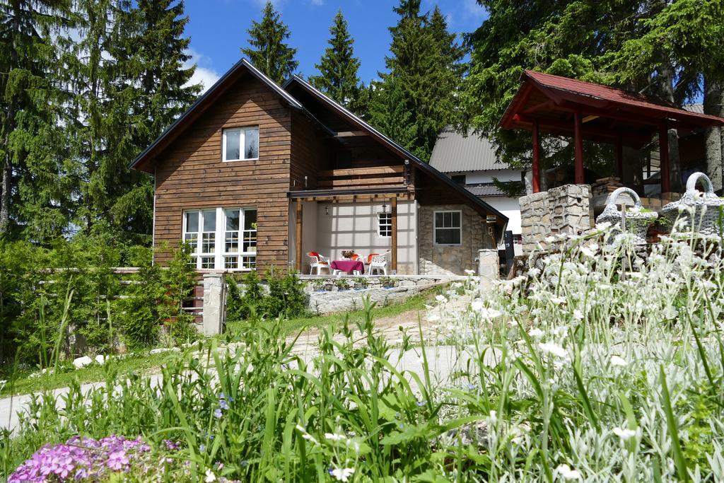 House Chalet *